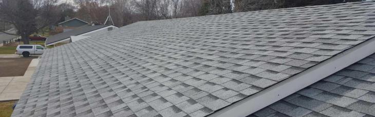 A roof made by a TZ roof contractor